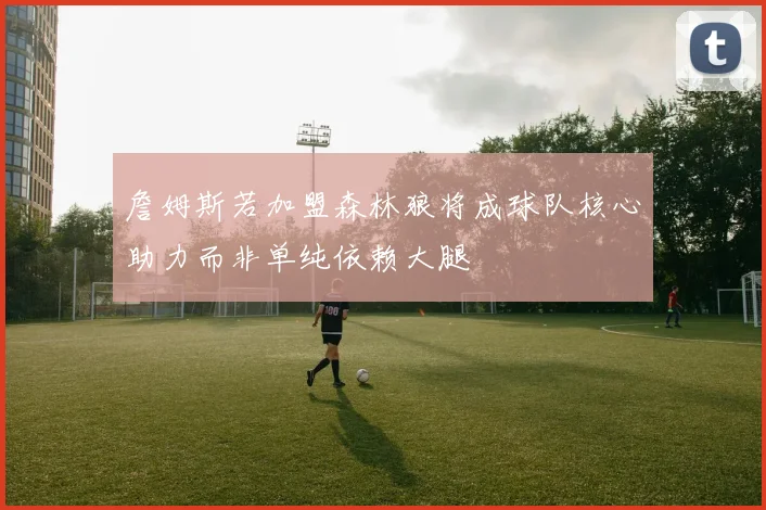 詹姆斯若加盟森林狼将成球队核心助力而非单纯依赖大腿